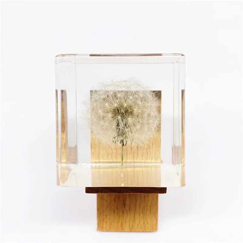 Creative New Resin Embedded Dandelion Crafts High Transparent Square Dandelion Dried Flower Ornament