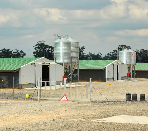 Steel Structure Poultry House Price Is Cheap Prefabricated Steel Frame Chicken House Environmental Protection Chicken Shed