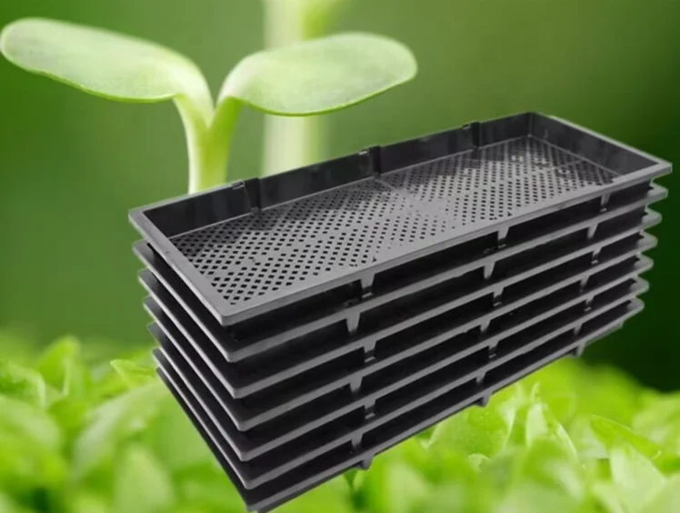 Factory Direct Sales Large Plant Tray Plastic Rice vegetable bean Nursery Seed Tray