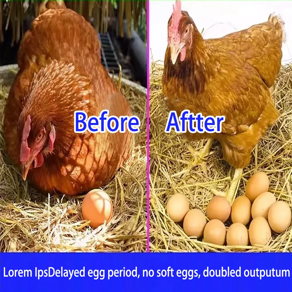 0.5%layer feed chicken poultry chicken layer feed poultry feed additives for layers