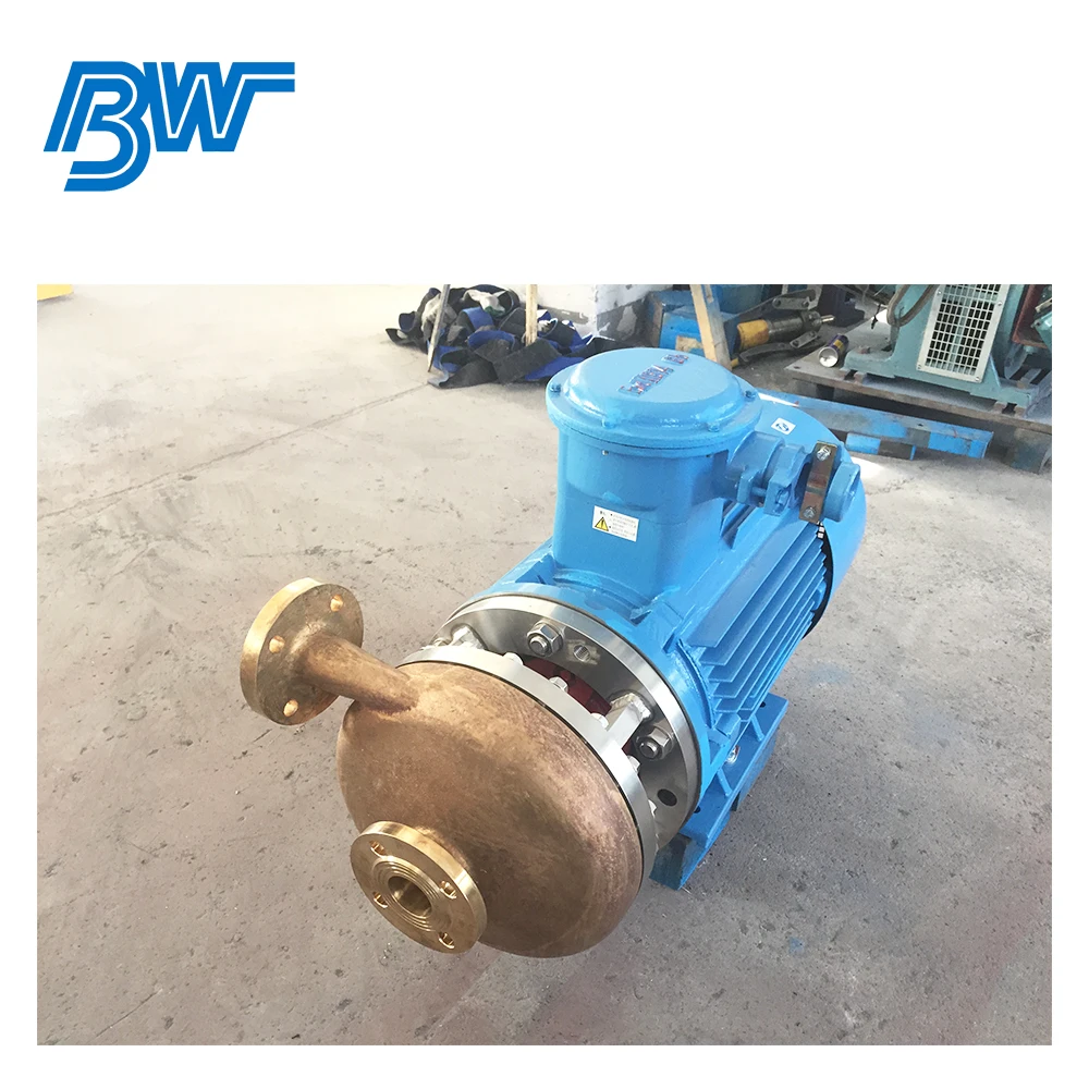 Cryogenic Lng Submersible Pump