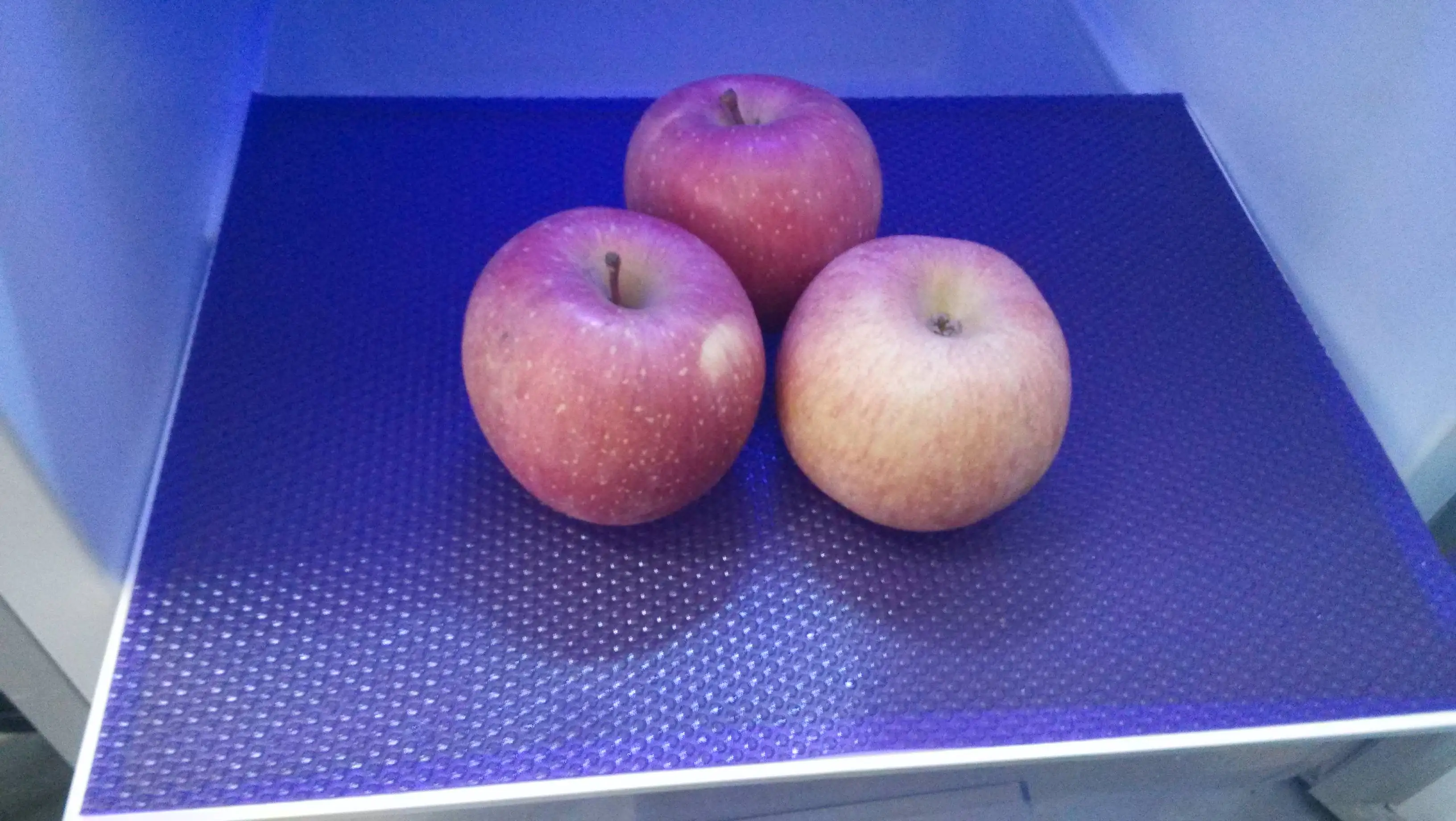 Customized use for refrigerator to anti bacteria moisture absorption mildew-proof can be cut EVA anti-bacterial fridge mat