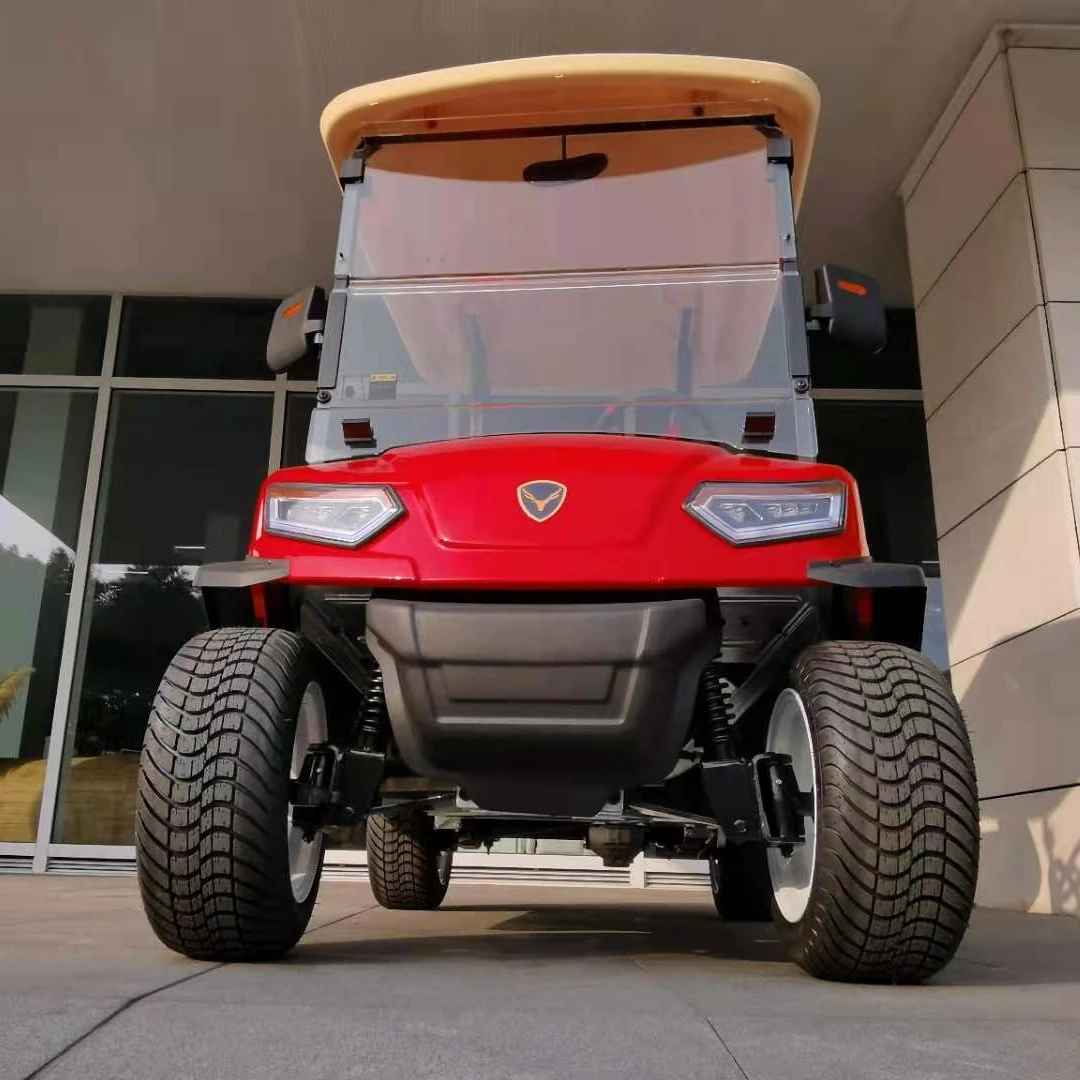 2 seat  custom golf car