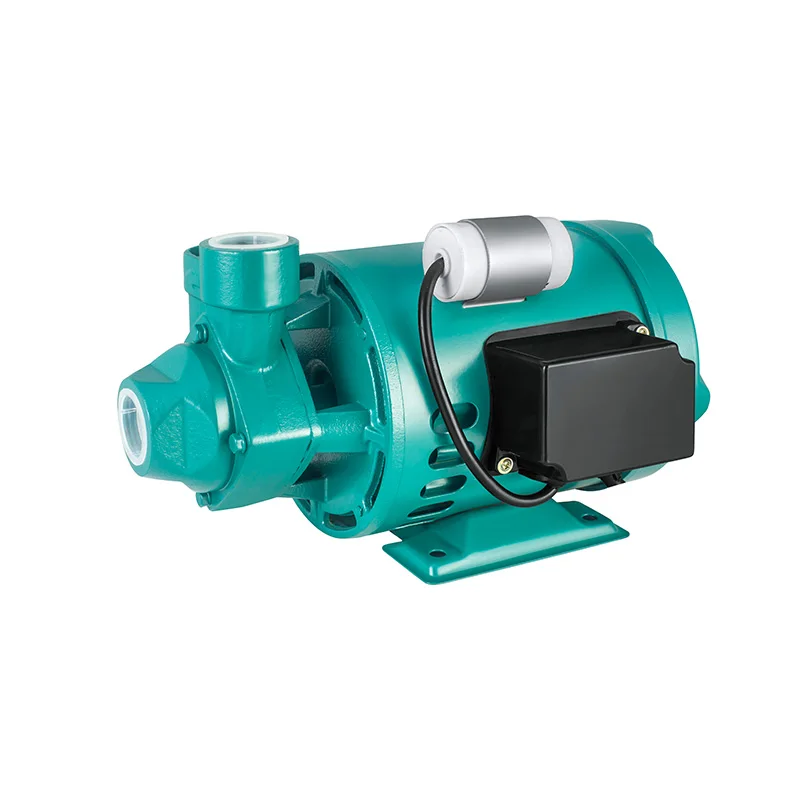 0.75HP/1HP Model QB60 Irrigation Agriculture OEM Supported  High Pressure Electric 220V Domestic Single-Stage Vortex Water Pump