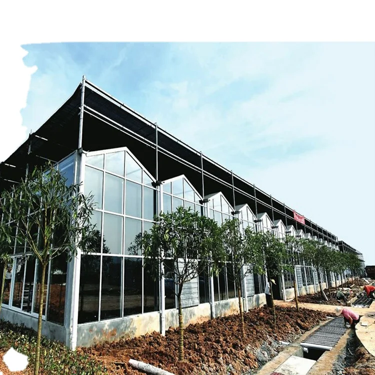 Greenhouse Garden Green House Outdoor Rainproof Plant Cover Backyard photovoltaic solar glass greenhouses