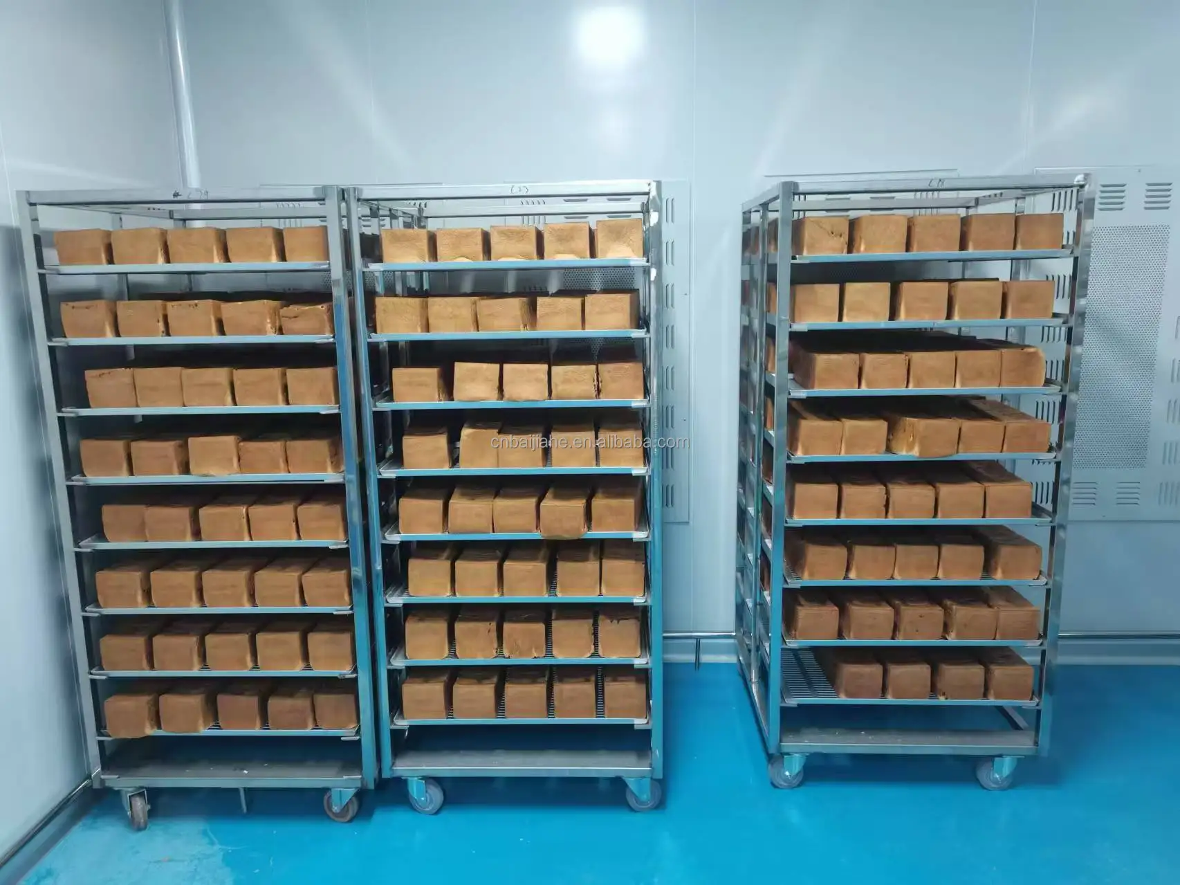 Chinese factory made highly active dry yeast fluffy and soft fermentation time fast soluble yeast low sugar type
