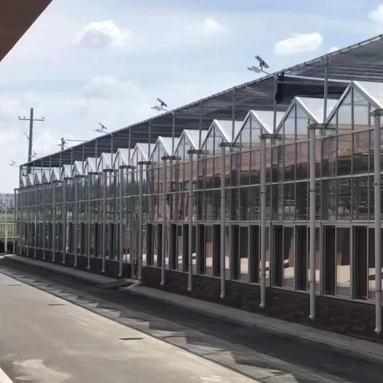 Greenhouse with wet wall solar farming agri low Tunnel galvanized steel Single span Frame  for Agriculture & Garden