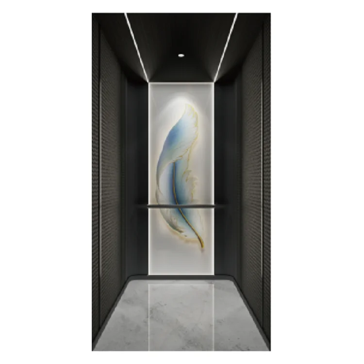 Home Elevator Lift Hydraulic Residential Lift Small Elevators for Homes Villa