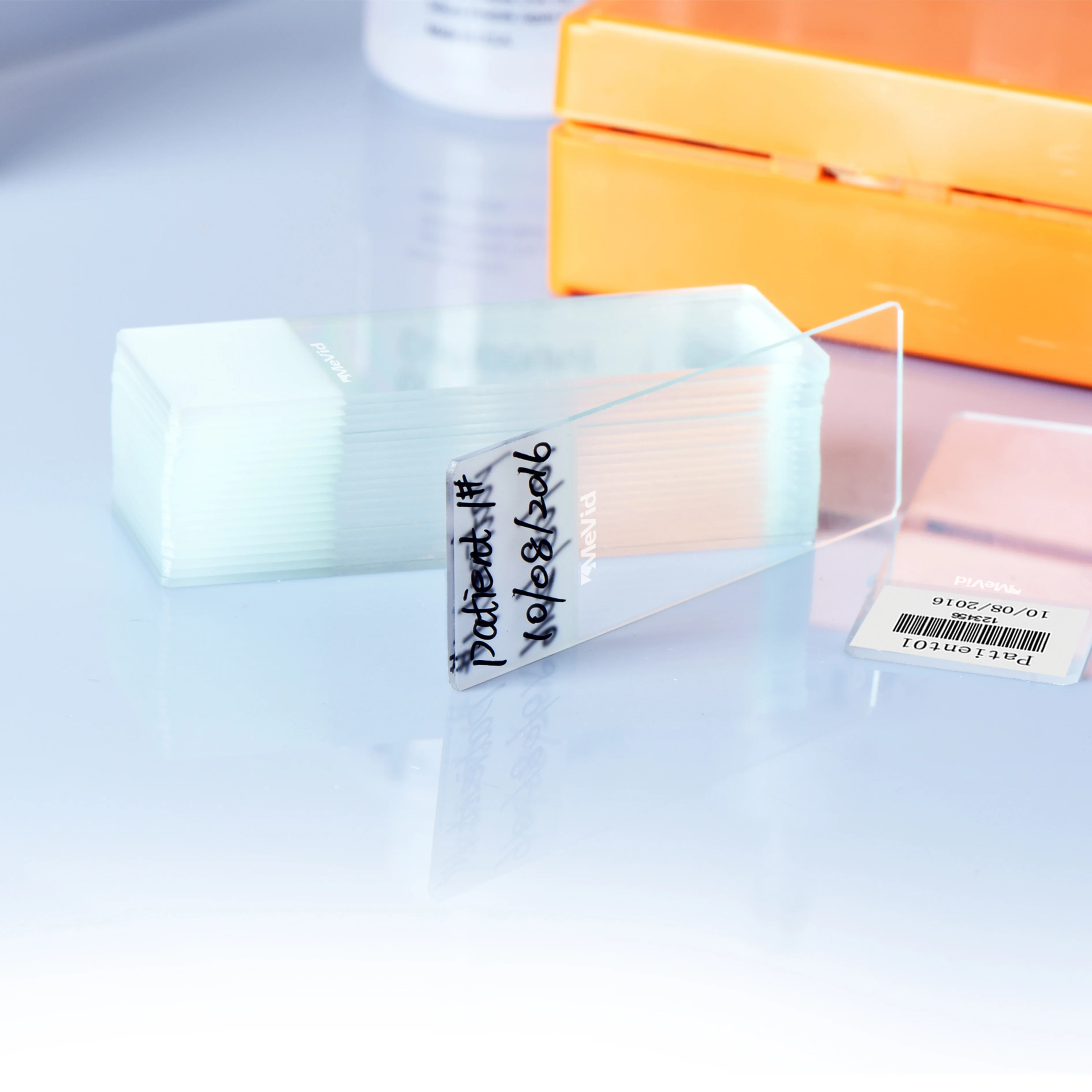 Wholesale Disposable Sinfrost Microscope Slides Lab Consumables Glass P105-1001 Transparent