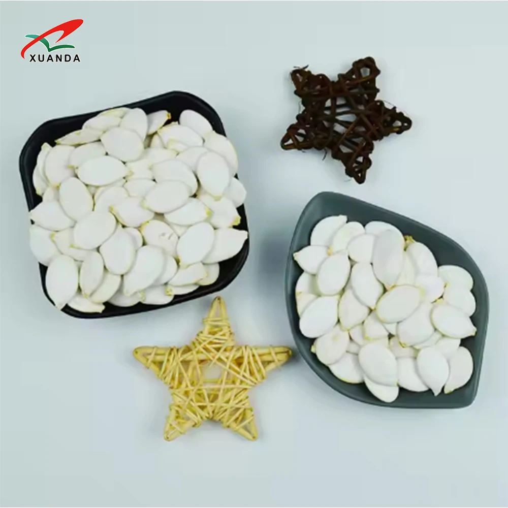 Chinese Factory Supply Jumbo Size Pumpkin Seeds Inshell Natural Snacks Ingredient Snow White Pumpkin Seeds 13MM