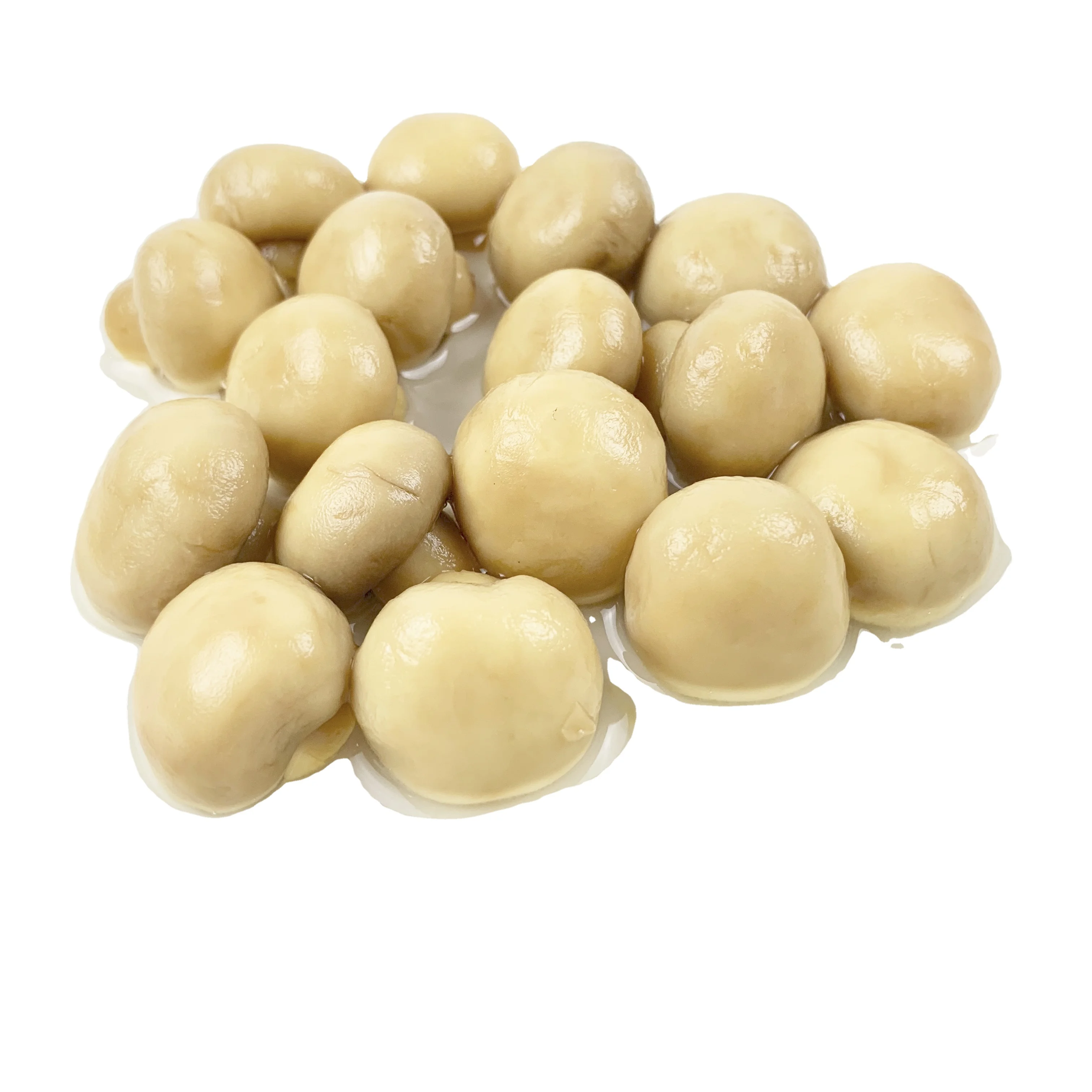 Top Quality Factory Price Sliced Canned Mushrooms Trade king oyster Slice Champignon Mushroom