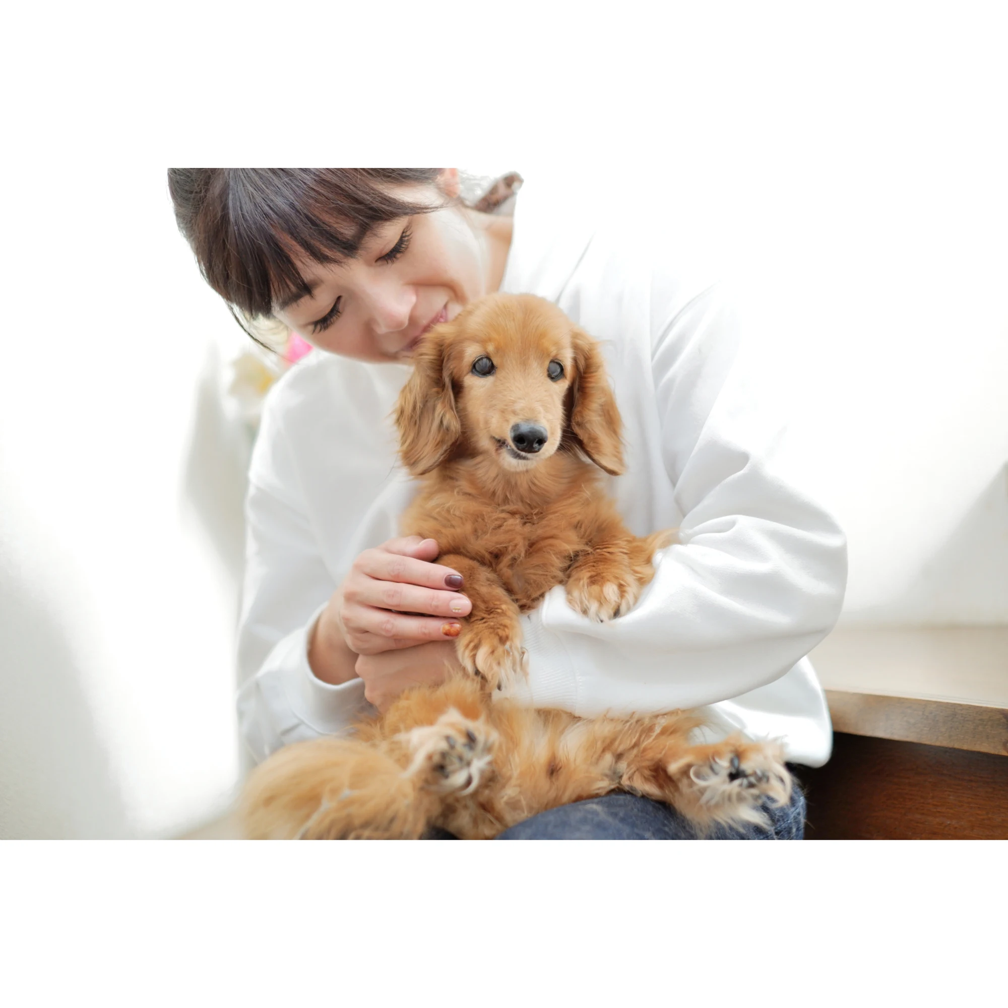 Superior quality no binders smoothing agents product packaging pet food