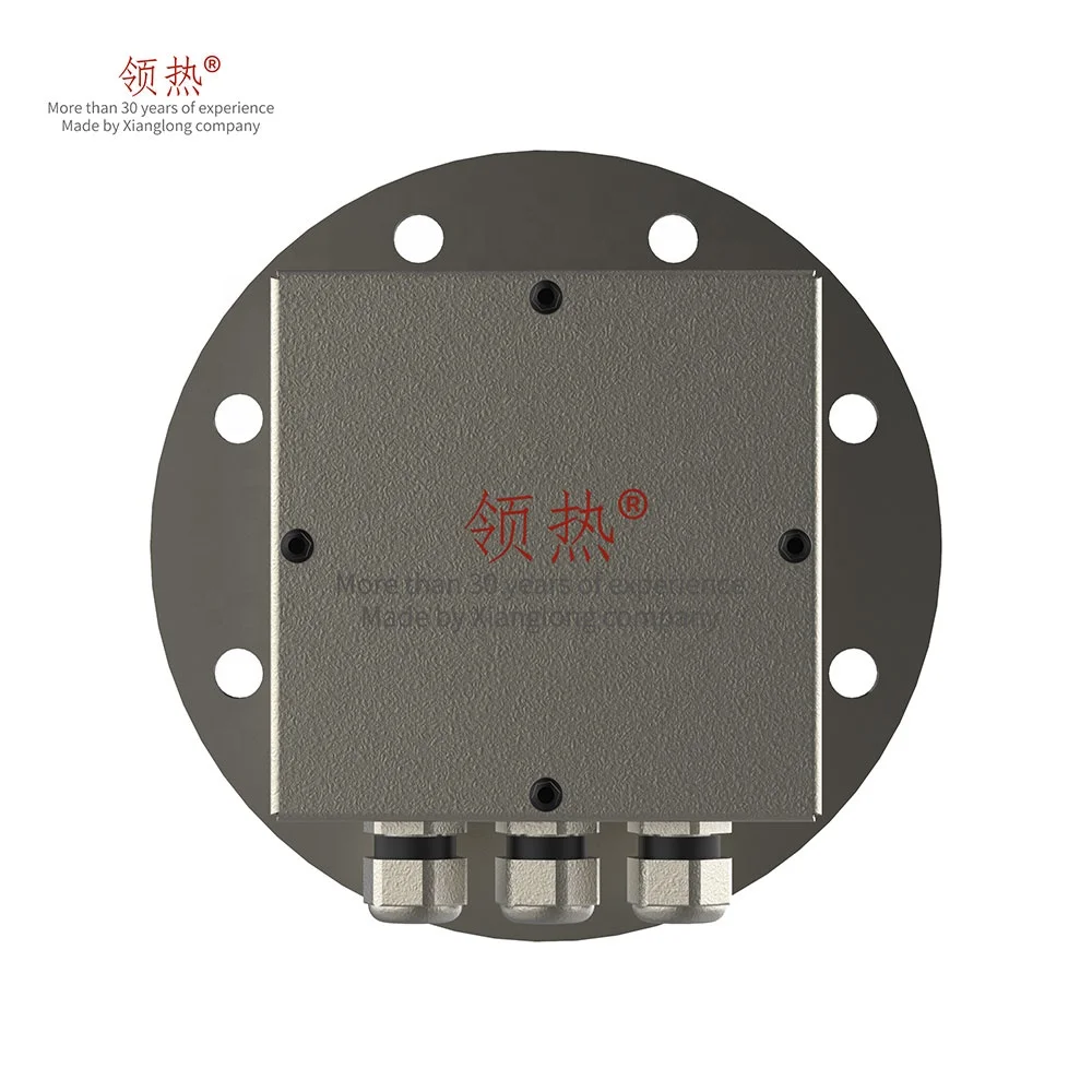 DN150 12.5kw Boiler Circulation Heater for Mildly Corrosive Solutions