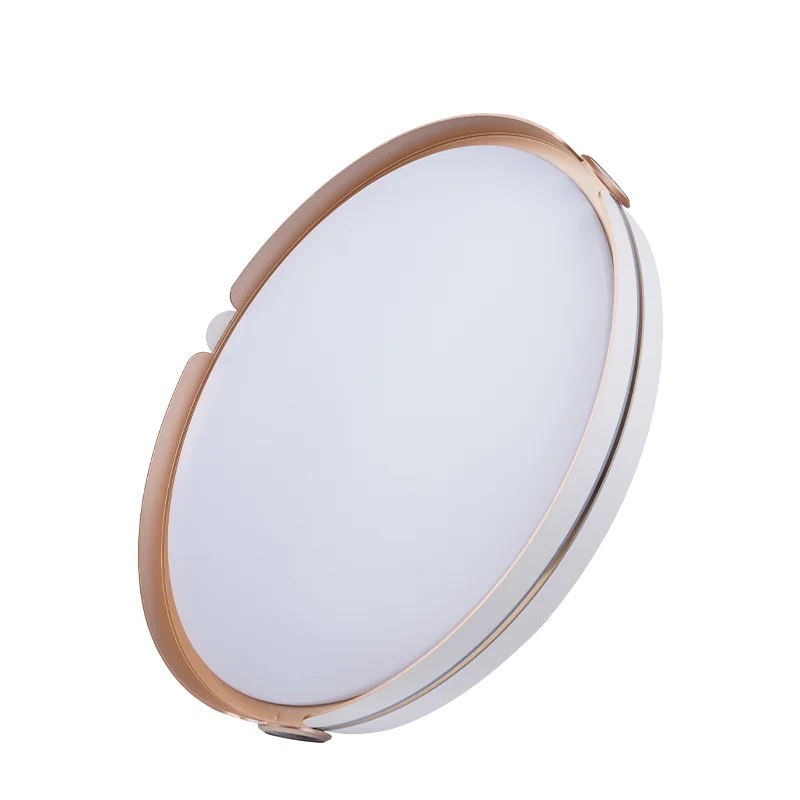 AKKO STAR 82W LED Ceiling Light  3 Colors indoor lighting  LED light wholesale  ceiling lamp