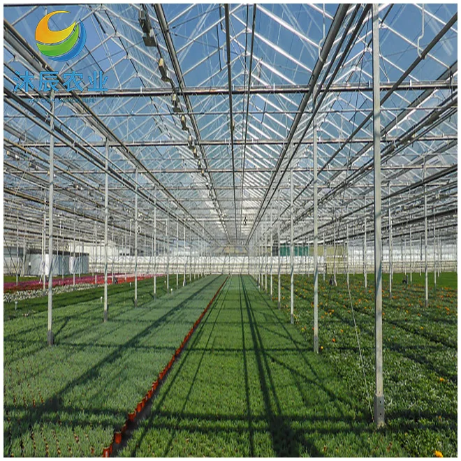 Arch Agricultural Commercial Greenhouse Hydroponics Agriculture Manufacturer Smart Modern Film Glass Passive Farm Machinery