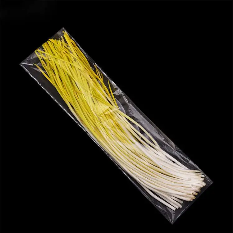 Vegetable Healthy Food Package Eco Friendly Self Adhesive Seal Opp Packing Plastic Bag