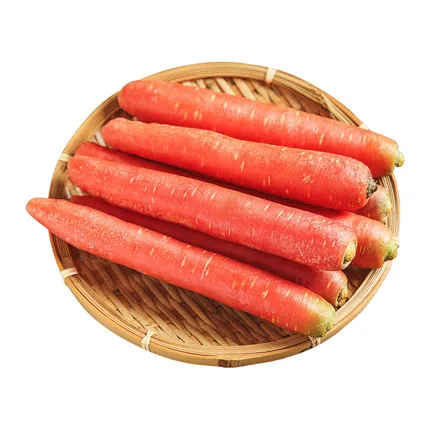 
Premium New Crop Chinese China Can Fresh Carrot Crops 