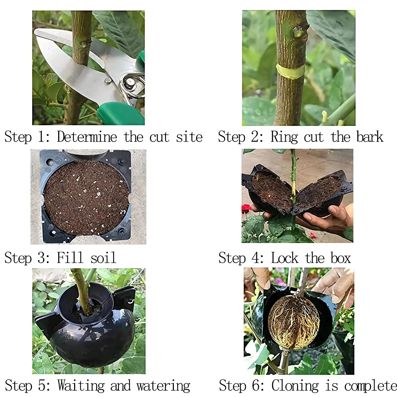 Reusable Plant Root Growing Box Air Layering Pods Plant Rooting Device Assisted Cutting Rooting