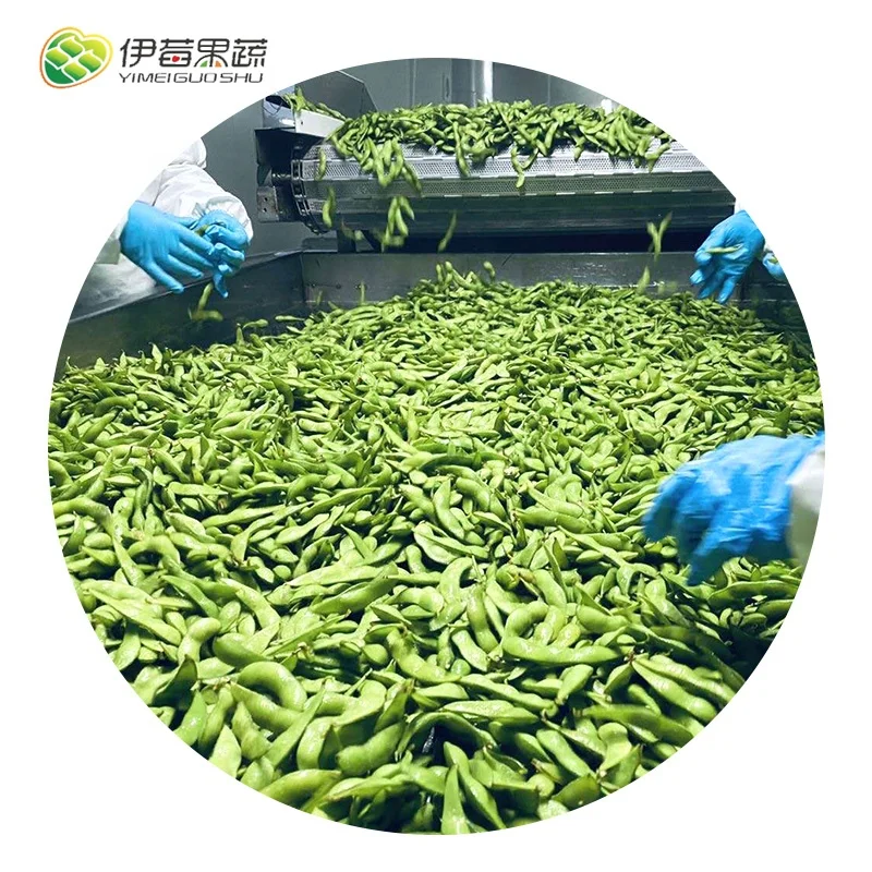 Best price Frozen Green Soybean Pod Bulk IQF Edamame Pod