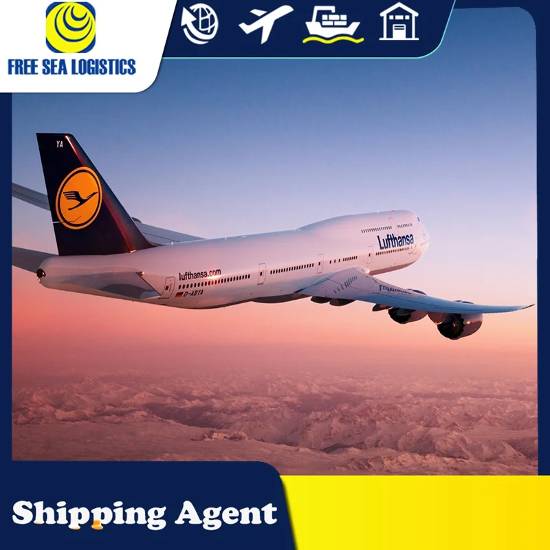 from China import export custom clearing agent provide usa uk canada customs clearance service