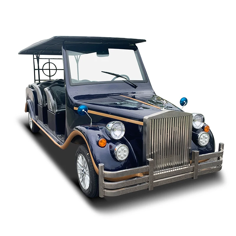 Индивидуальный цвет Королевский винтажный автомобиль на 11 сидений Электрический классический для частного участка