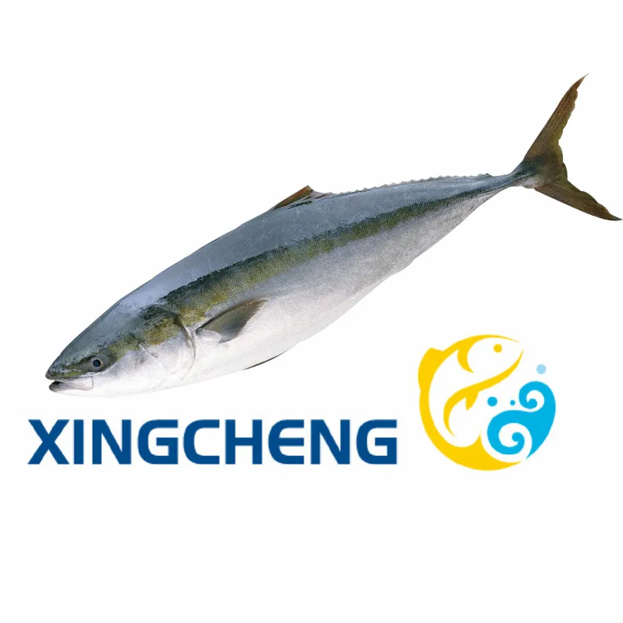 
Seafrozen Yellowtail Fish WR(Seriola quinqueradiata) Size:500-1000g/pc Hot Sale 