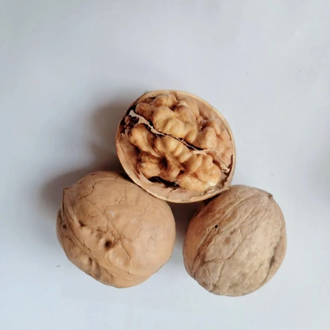 Горячая Продажа Лучшее качество Китайский орех и ядро грецкого ореха