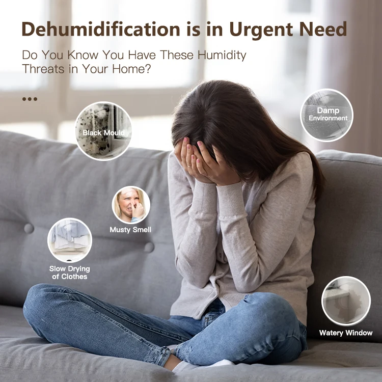 Wintek Private Model High Quality Low Noise 20l with Wifi App Home Dehumidifier