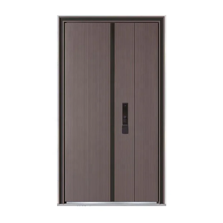 stainless steel elevator door
