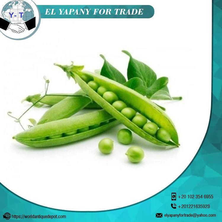 Hot Sale Green Peas