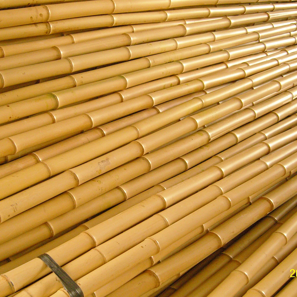 High quality straight bamboo pole large bamboo poles sale for building