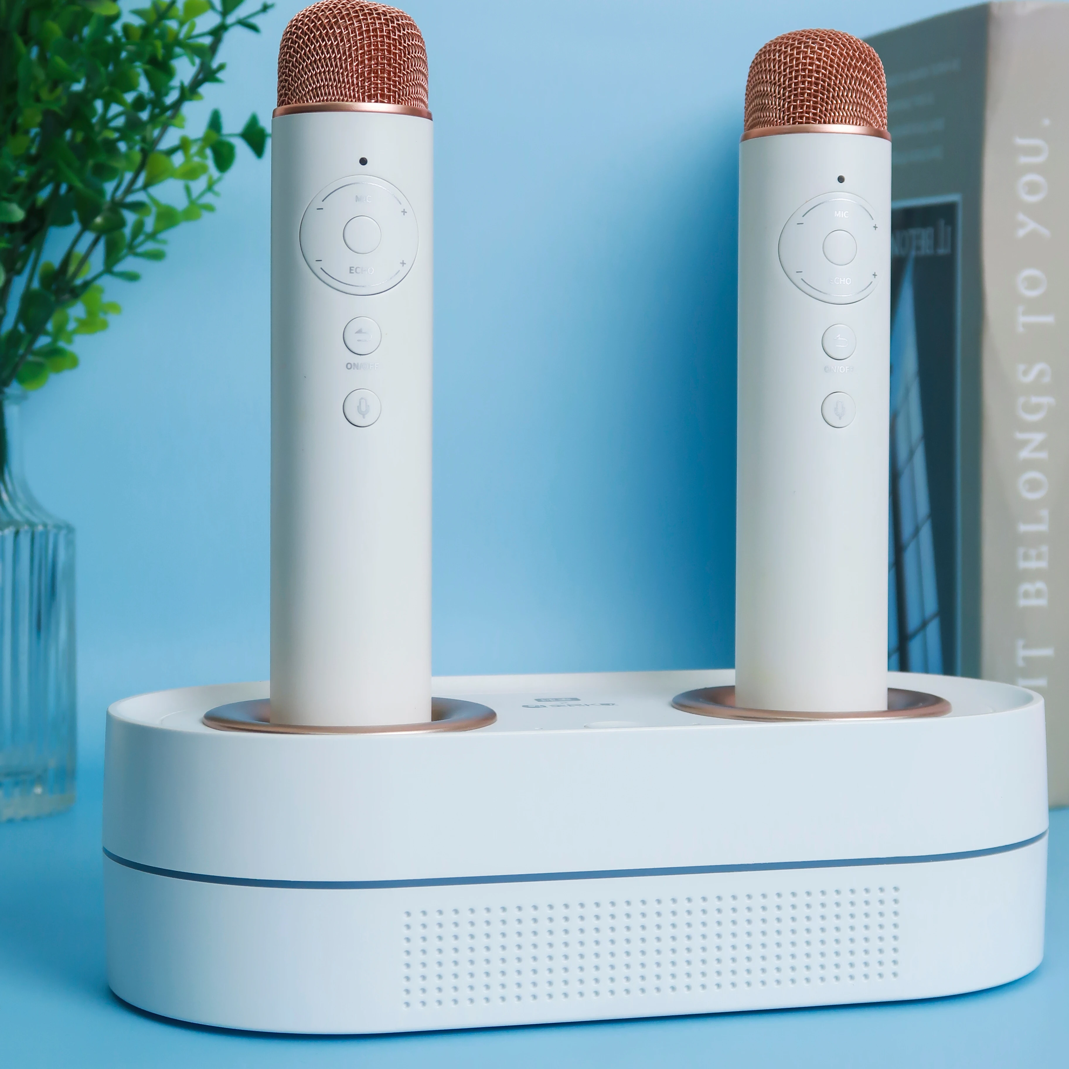 Пойте караоке все в одном для домашнего использования отображение песен разными