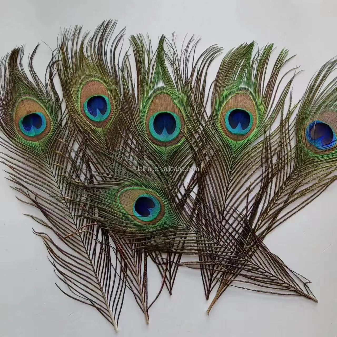 Cheap Natural Indian Peacock feathers tail feather for crafts accessory party costumes dance dress decoration