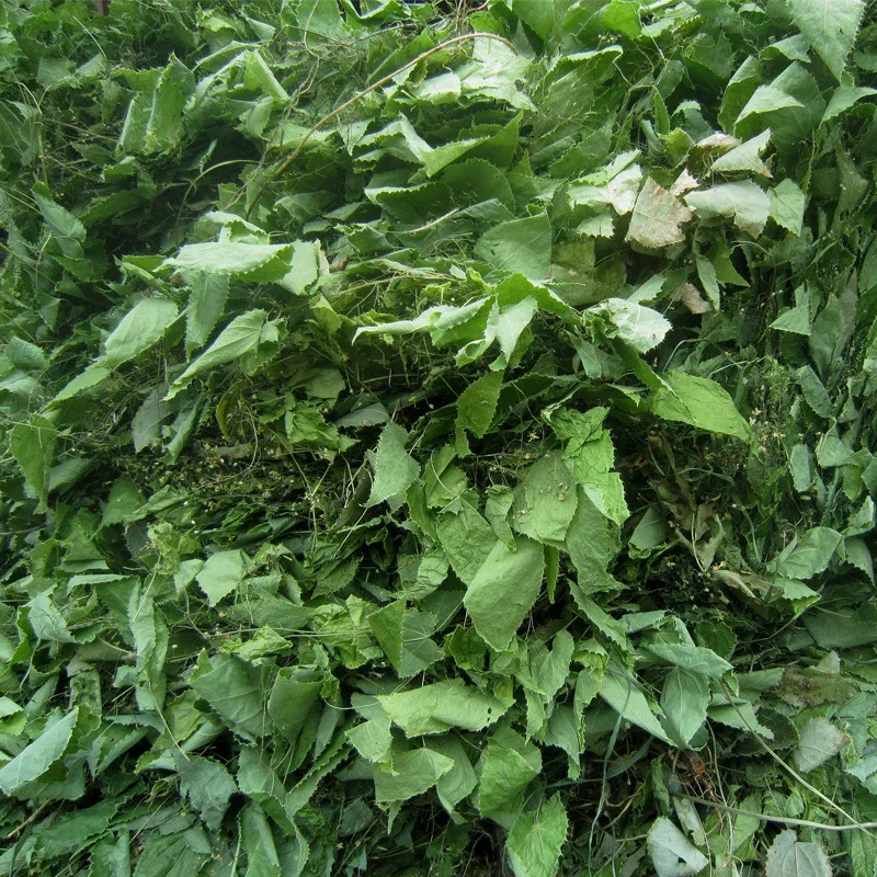 Новое поступление Натуральные Сушеные травы Yin Yang Huo Epimedium растительный экстракт порошок