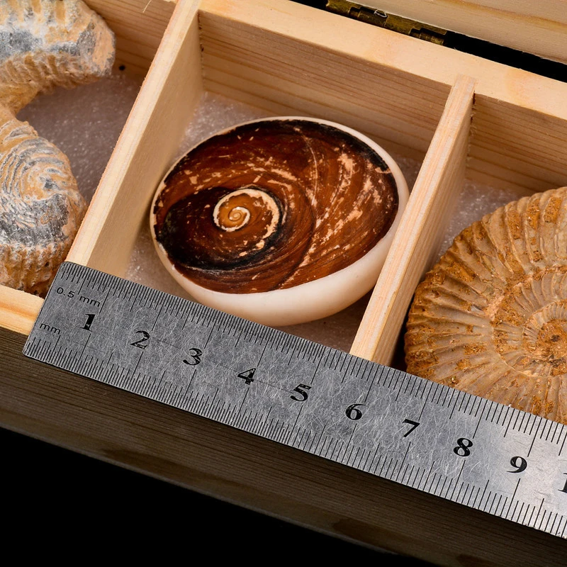 Tea gift packaging wooden box chocolate luxury wooden box