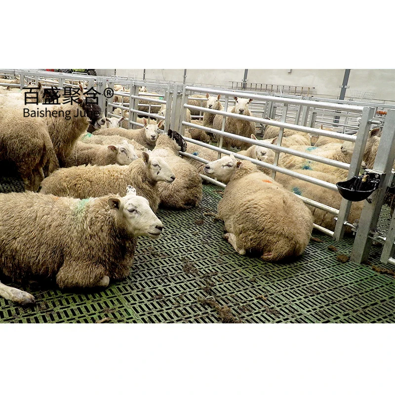 China supplier prefabricated steel structure goat farm sheep animal farming design shed house
