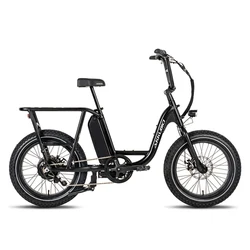 Akkubici china 48V 750 1000 w fast big wheel step through electric hybrid fat tire e bike fat tyre snow beach women ebike e-bike