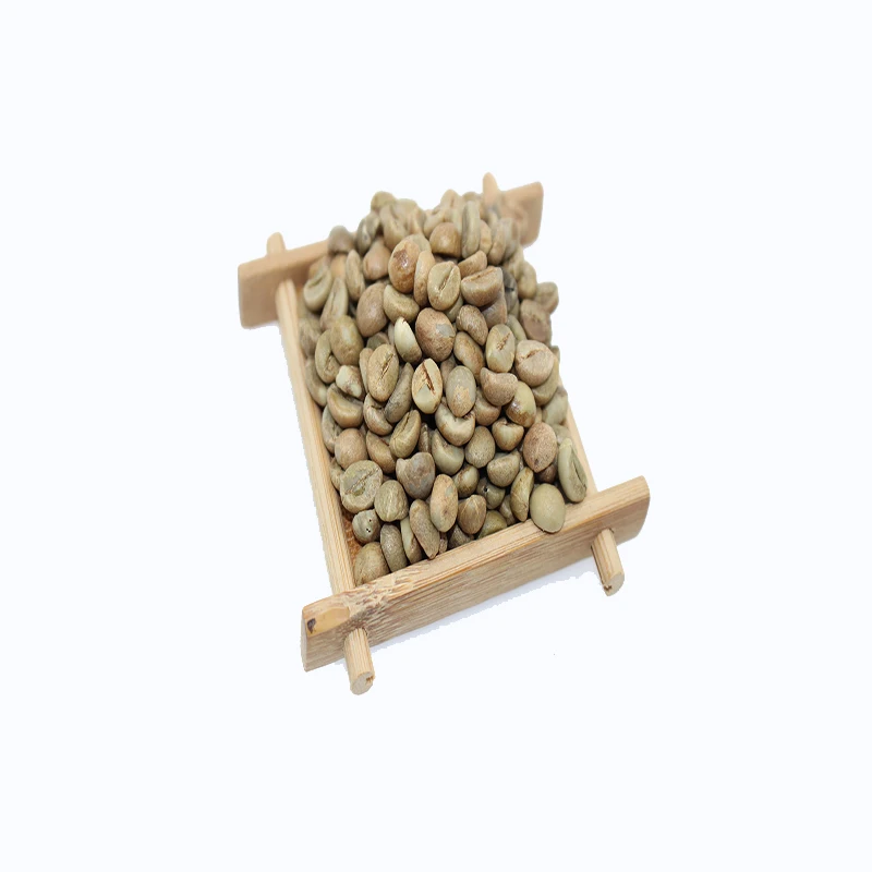 Factory sale import bulk green coffee beans robusta