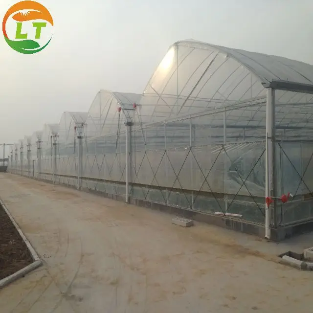 Long service life wind resistance and snow resistance agricultural greenhouses for sale