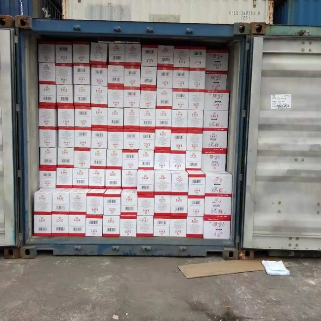 Dry Instant Yeast Active Dry Yeast Halal Yeast