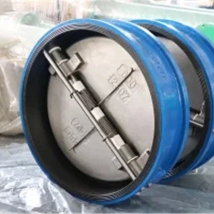 2 inch  cast iron plate one way  non return check valve