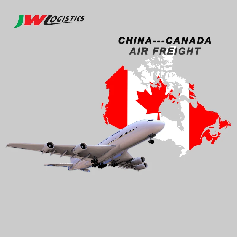 China top 10 sea freight forwarders to USA/Canada/European Inspection Service