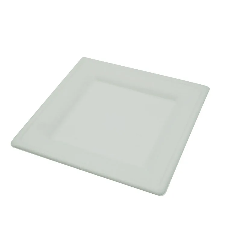 
new arrival Disposable Bagasse Compostable Biodegradable Oval plates Tableware 