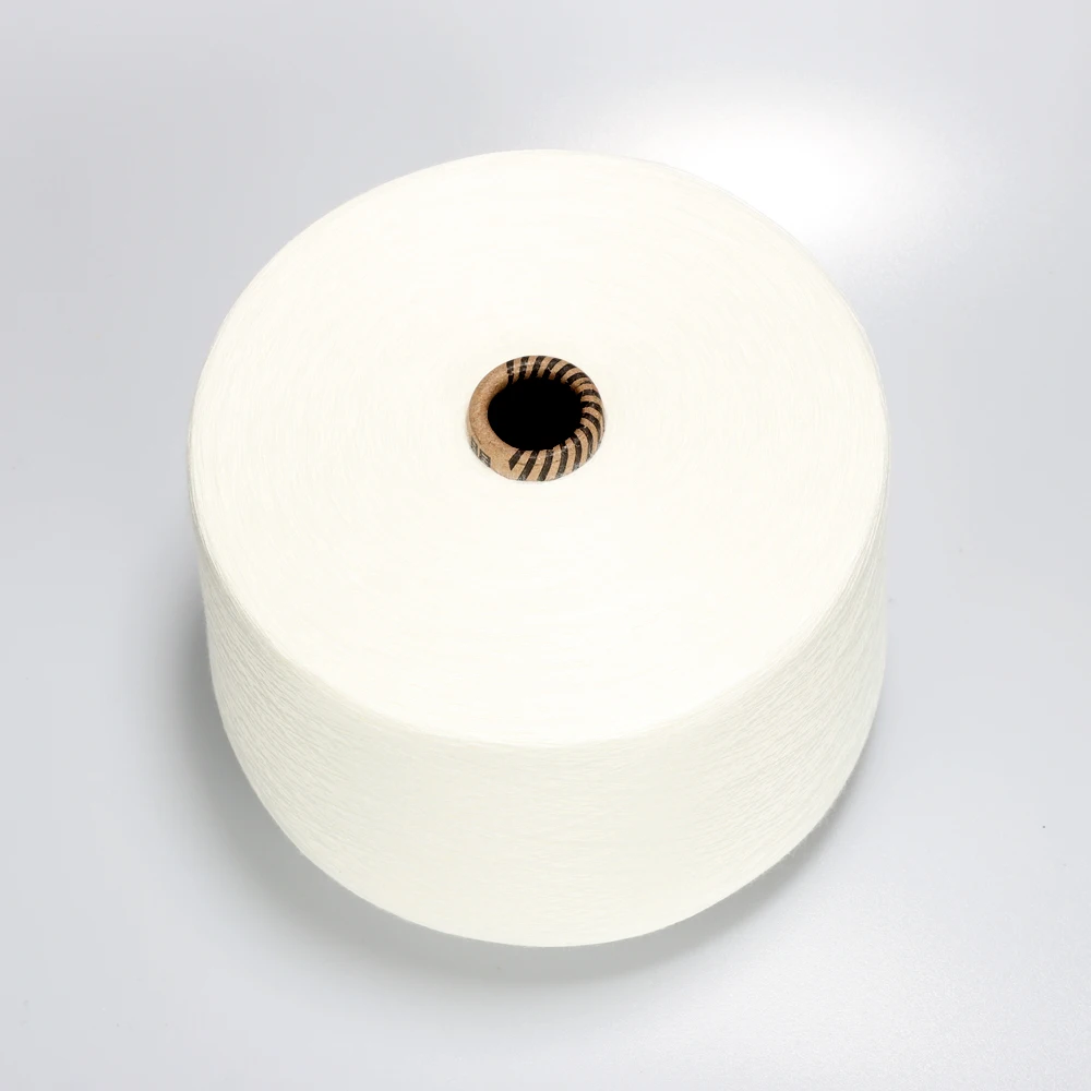 China Yarn Manufacturer Eco-Friendly 2/36NM Dyed Wool Acrylic Yarn Bulk Yarn For Knitting