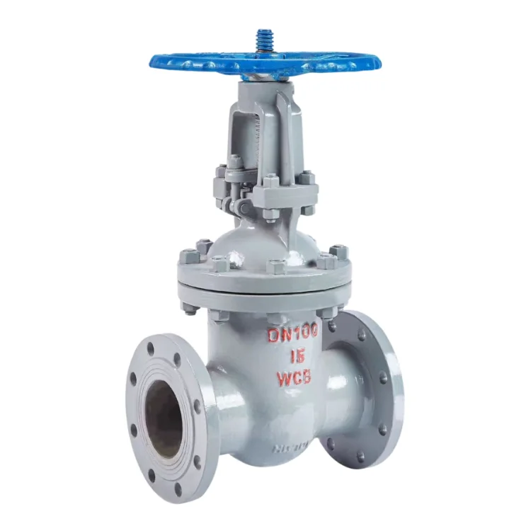 CQATMT Excellent Quality Double Flanged Gate Valve 10 Inch Ansi Flanged 150Lb Gate Valve Customized Gate Valve