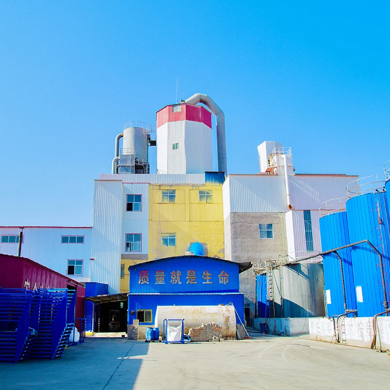 OEM brand Powders Cleaning laundry wholesale washing Powder laundry