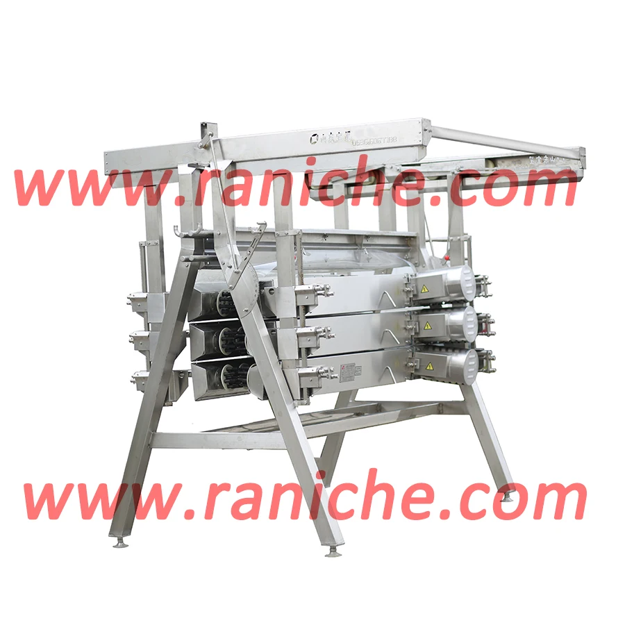 500-2000Bph Automatic Manual Chicken Slaughterhouse