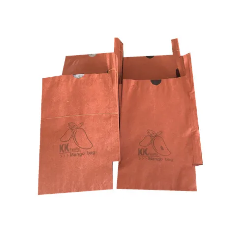 Custom different sizes waterproof two layer Fruit protect peach bag/kiwi fruit bag/mango growing paper bag