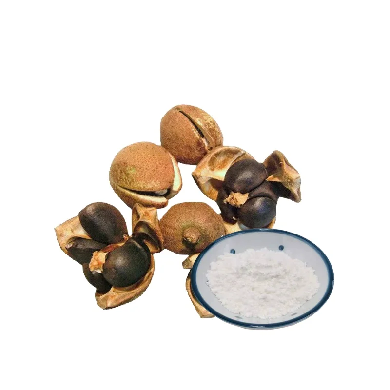 Camellia Seed Extract Tea Saponin oleipherone Camellia sinensis(L.)O.Kuntze