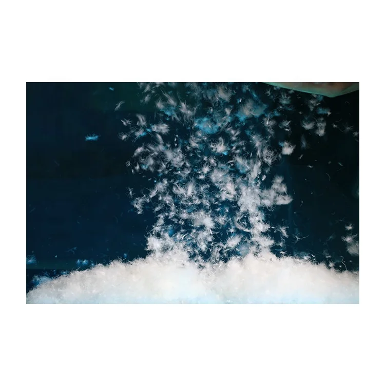 2021 High Quality Wholesale Low Price Winter European Standard 80% Raw Material White Goose Down for Sale